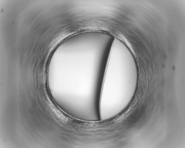 X0000088210795200705151050