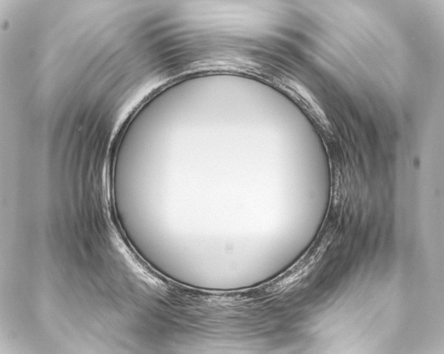 X0000088210796200705151050
