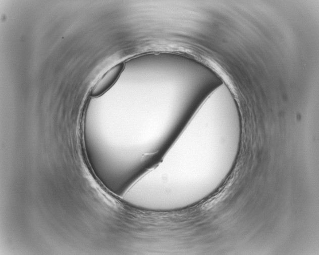 X0000088210803200705151050