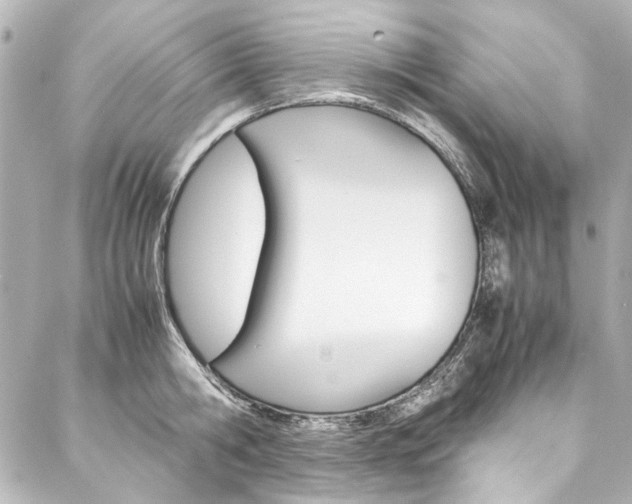 X0000088210806200705151050
