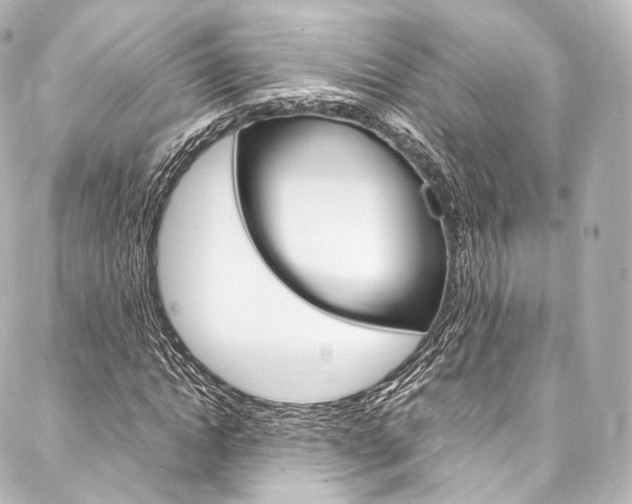 X0000088210822200705151049