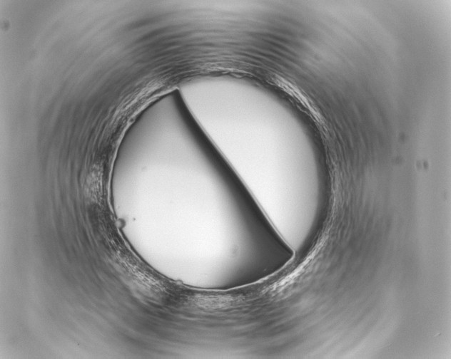 X0000088210825200705151049
