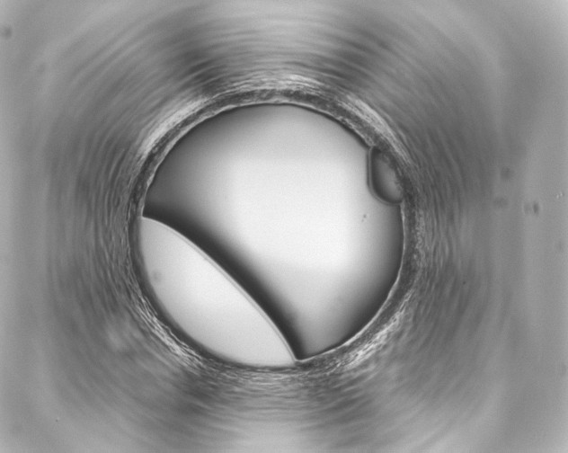 X0000088210826200705151049