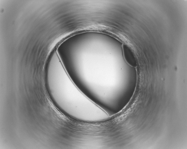 X0000088210838200705151049