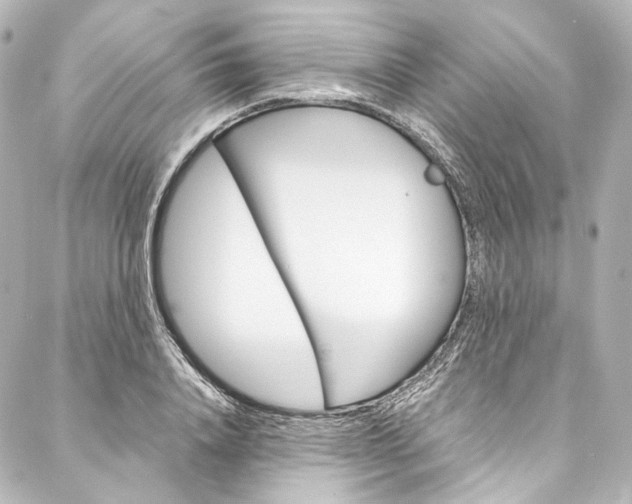 X0000088210840200705151049