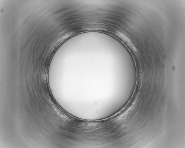 X0000088210841200705151049