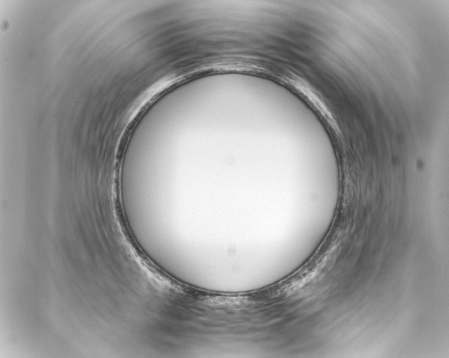 X0000088210853200705151049