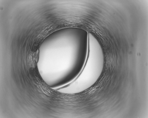 X0000088210868200705151049