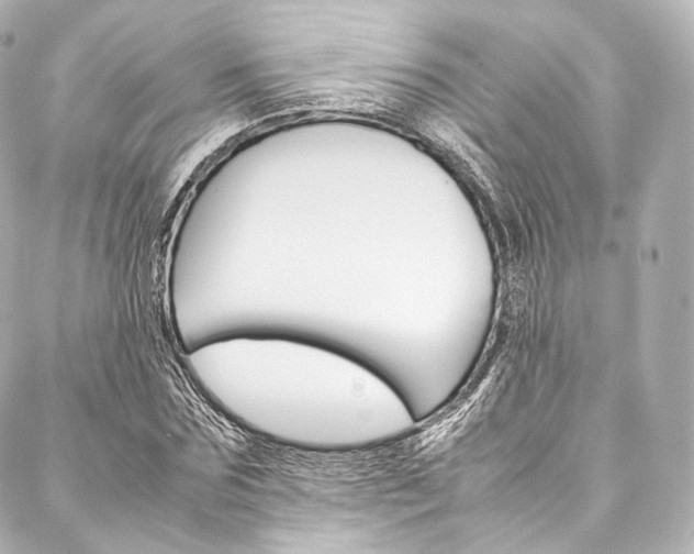 X0000088210875200705151048