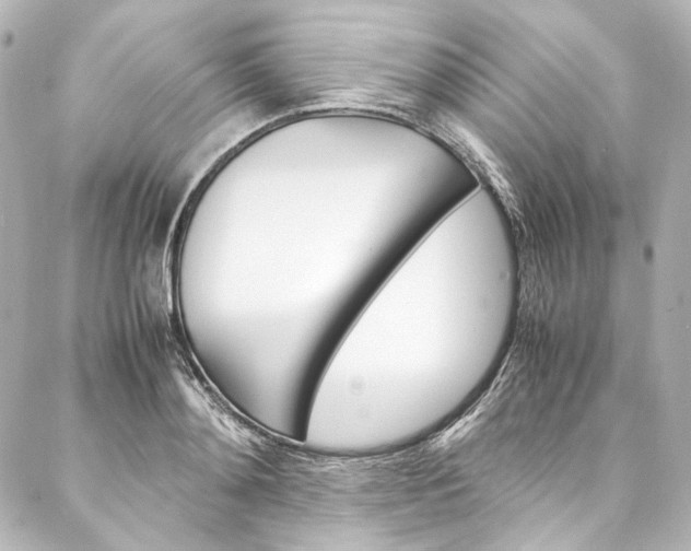 X0000088210892200705151048