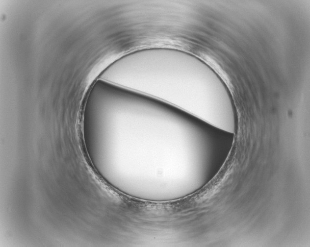 X0000088210901200705151048