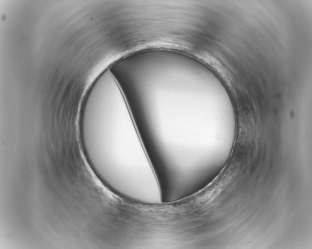 X0000088210902200705151048
