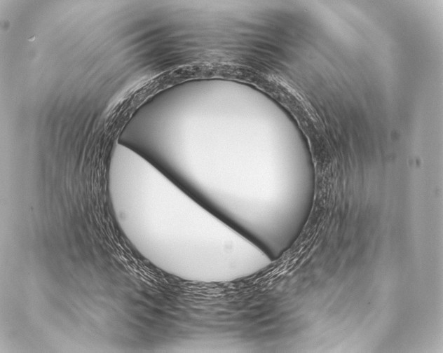 X0000088210919200705151047