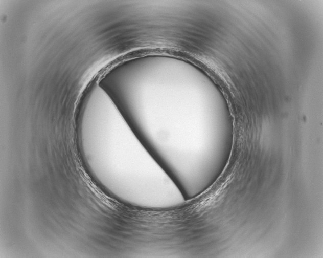 X0000088210927200705151047