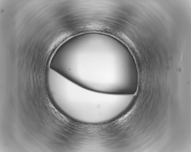 X0000088210930200705151047
