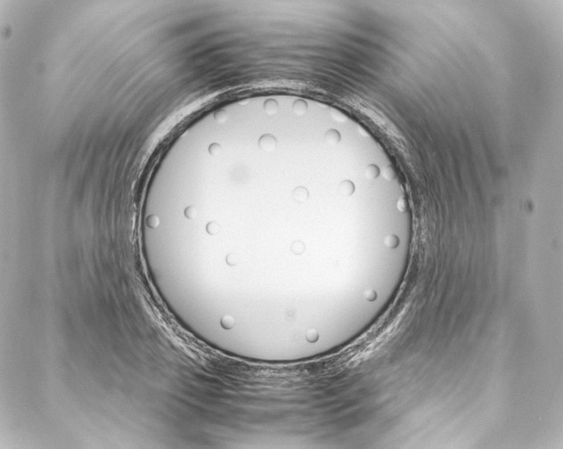 X0000088210933200705151047