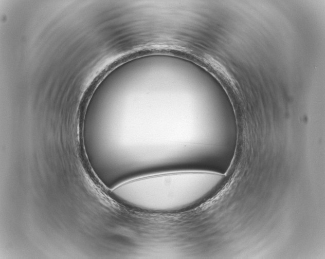 X0000088210934200705151047