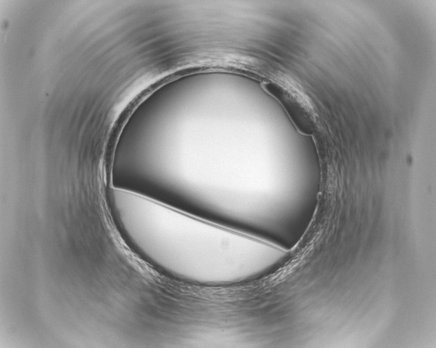 X0000088210936200705151047