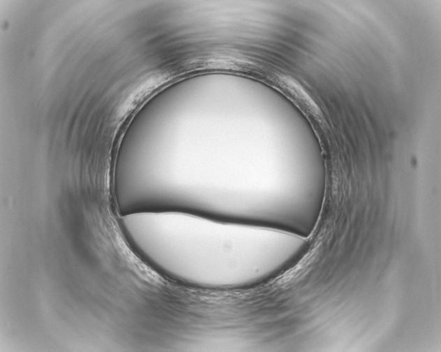 X0000088210938200705151047