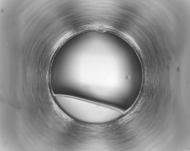 X0000088210946200705151048