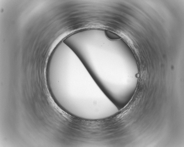 X0000088210947200705151048