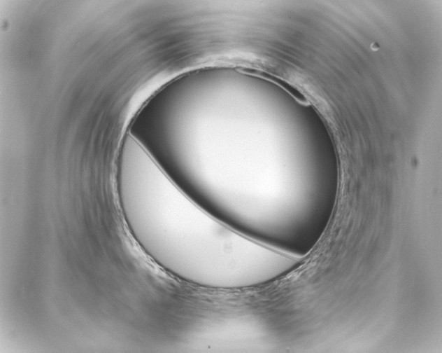 X0000088210960200705151048