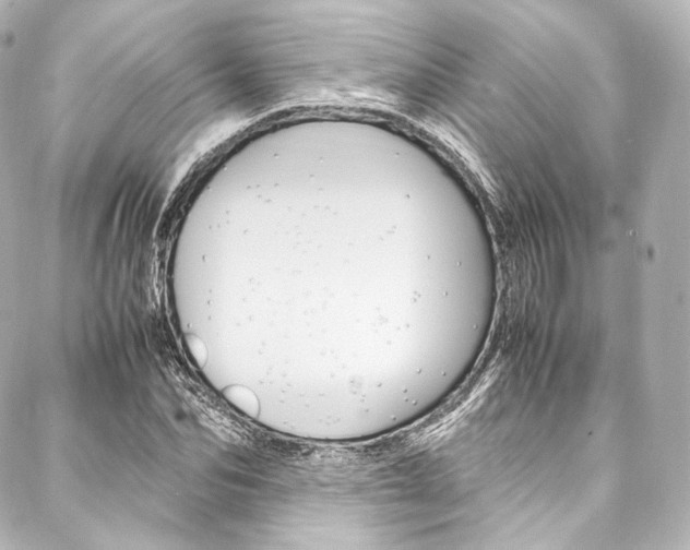 X0000088210974200705151047