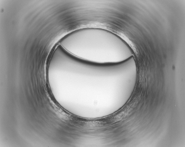 X0000088210988200705151047