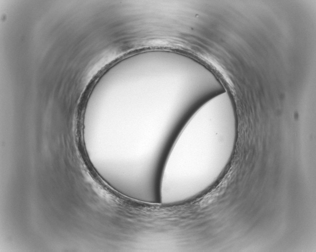 X0000088210991200705151047