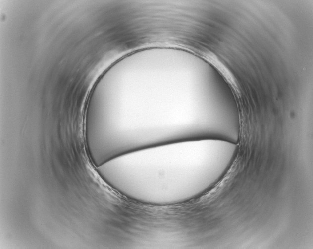 X0000088211004200705151046