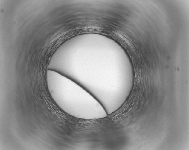 X0000088211015200705151046