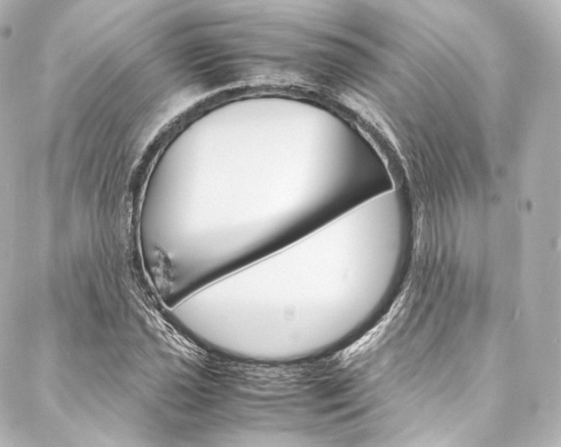 X0000088211021200705151046