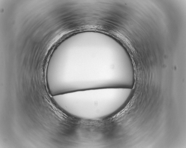 X0000088211023200705151046