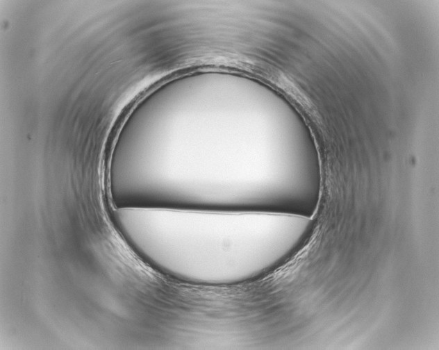 X0000088211028200705151046