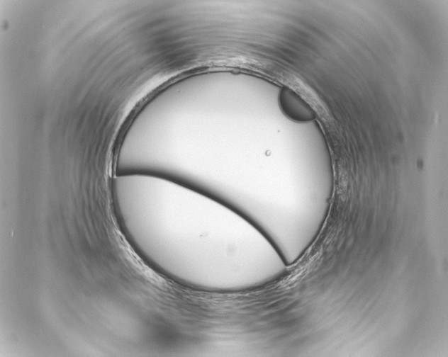 X0000088211036200705151046