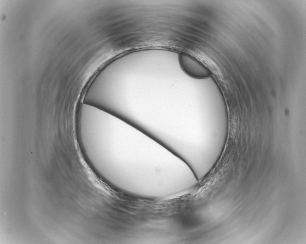 X0000088211039200705151046