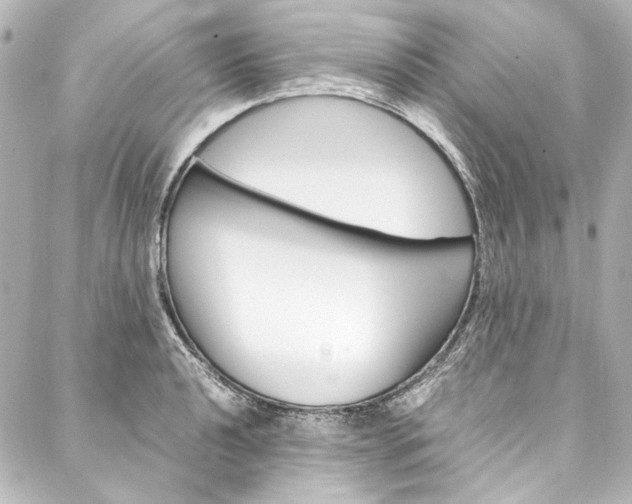 X0000088211040200705151046