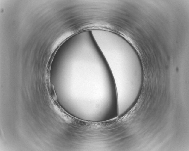 X0000088211042200705151046