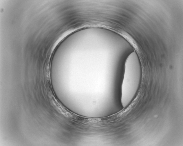 X0000088211052200705151046