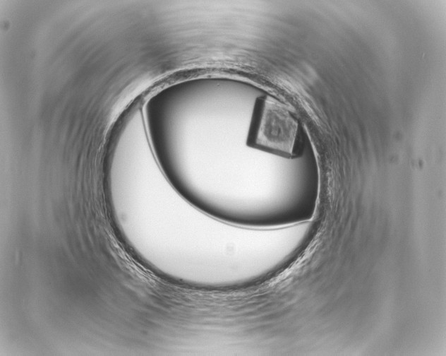 X0000088211069200705151045