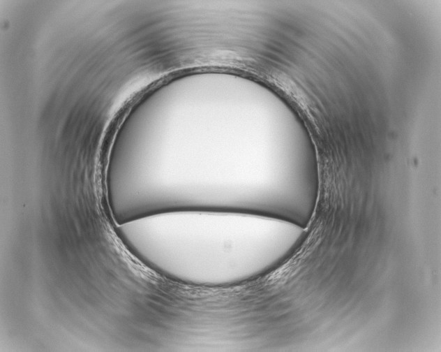 X0000088211072200705151045
