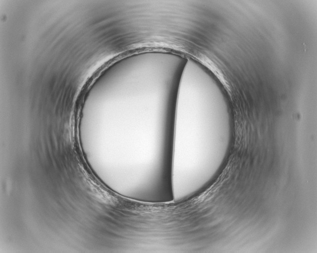 X0000088211076200705151045