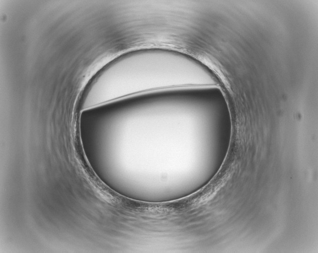 X0000088211077200705151045