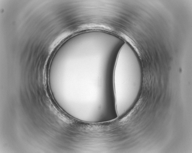 X0000088211082200705151045