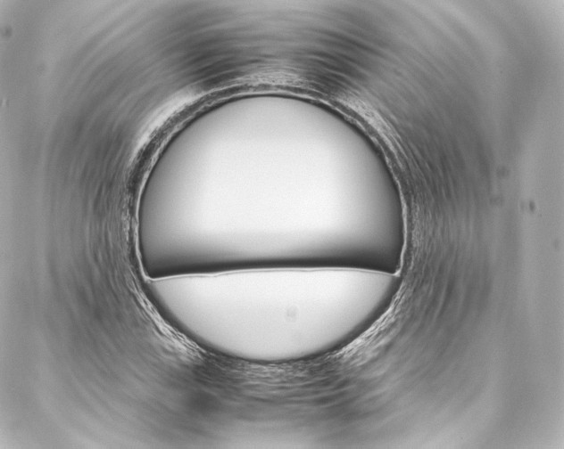 X0000088211115200705151044