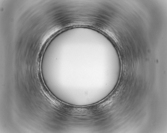 X0000088211119200705151044