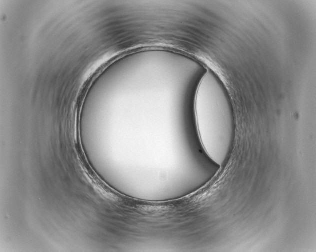 X0000088211127200705151044