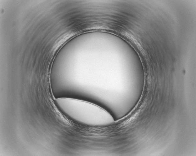 X0000088211129200705151044