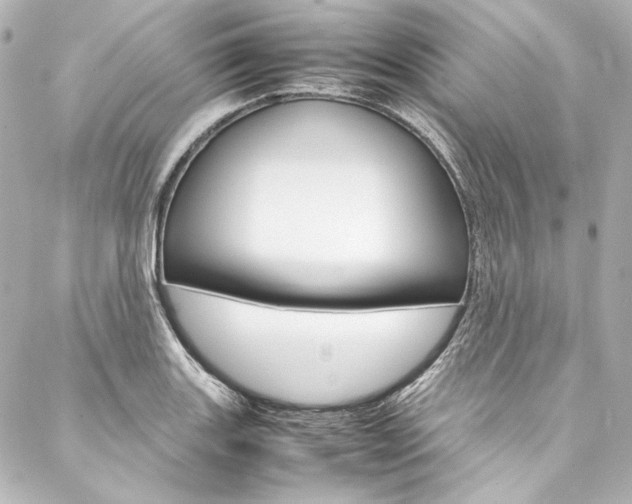 X0000088211131200705151044