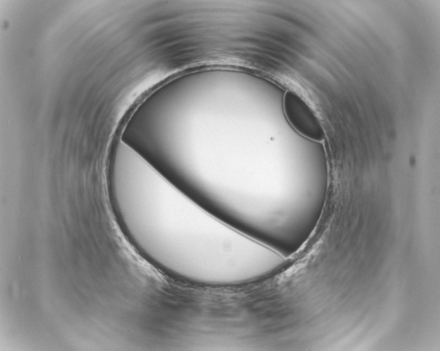 X0000088211133200705151044